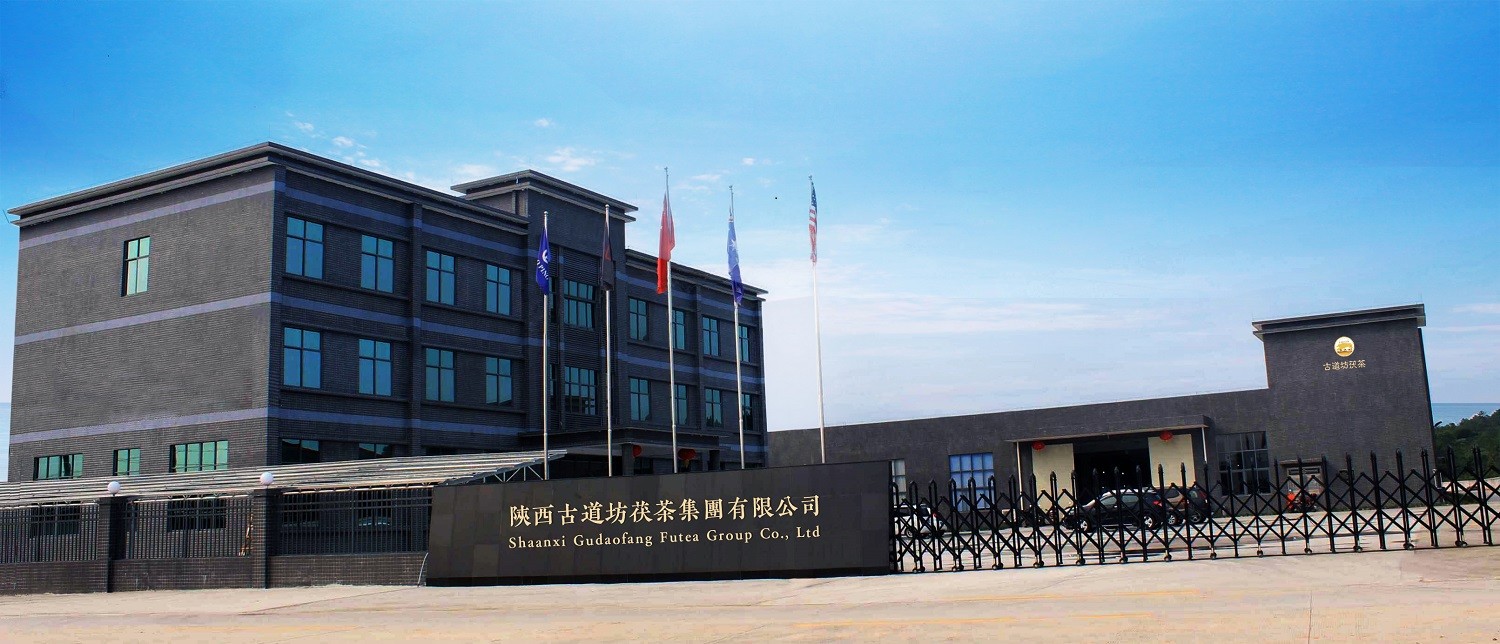 中国 Shaanxi Gudaofang Futea Group Co., Ltd. 会社概要