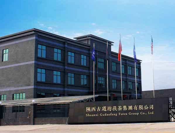 中国 Shaanxi Gudaofang Futea Group Co., Ltd. 会社概要